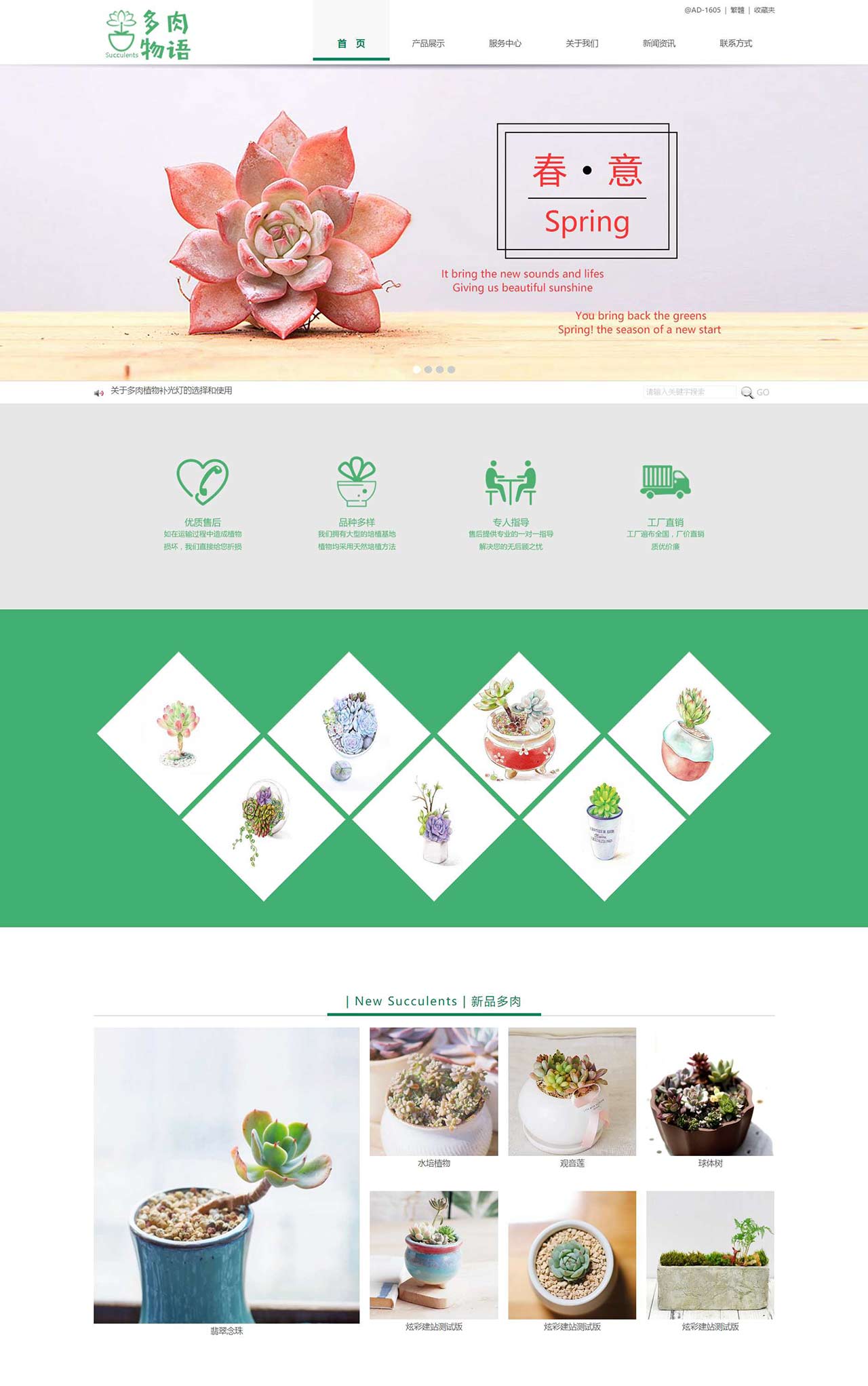 多肉物语绿植盆栽